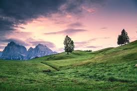 Serene landscape with gentle hills and a single tree representing peaceful slow living